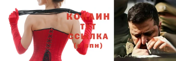 дмт Абаза