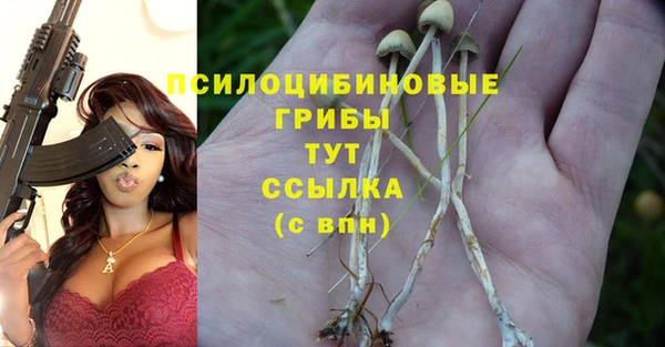 каннабис Абинск