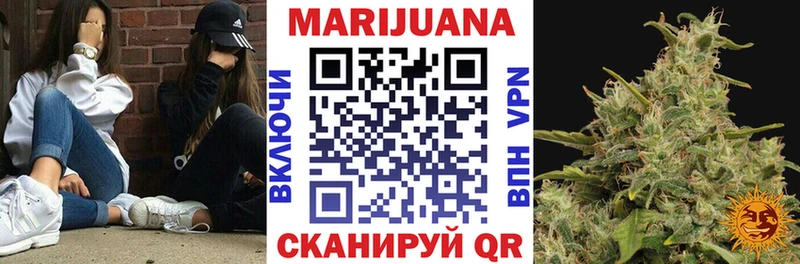 где найти   Куртамыш  Марихуана SATIVA & INDICA 